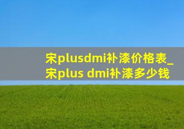 宋plusdmi补漆价格表_宋plus dmi补漆多少钱